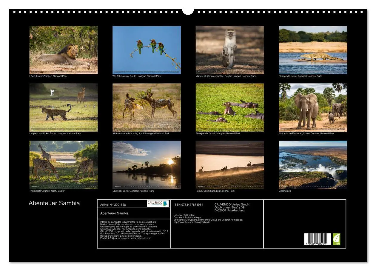 Bild: 9783457874981 | Abenteuer Sambia (Wandkalender 2026 DIN A2 quer), CALVENDO...