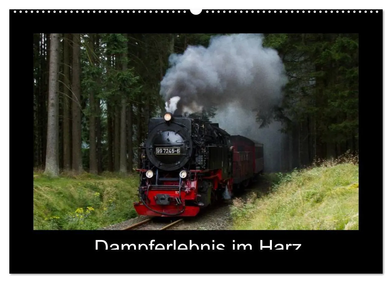 Cover: 9783516104981 | Dampferlebnis im Harz (Wandkalender 2026 DIN A2 quer), CALVENDO...
