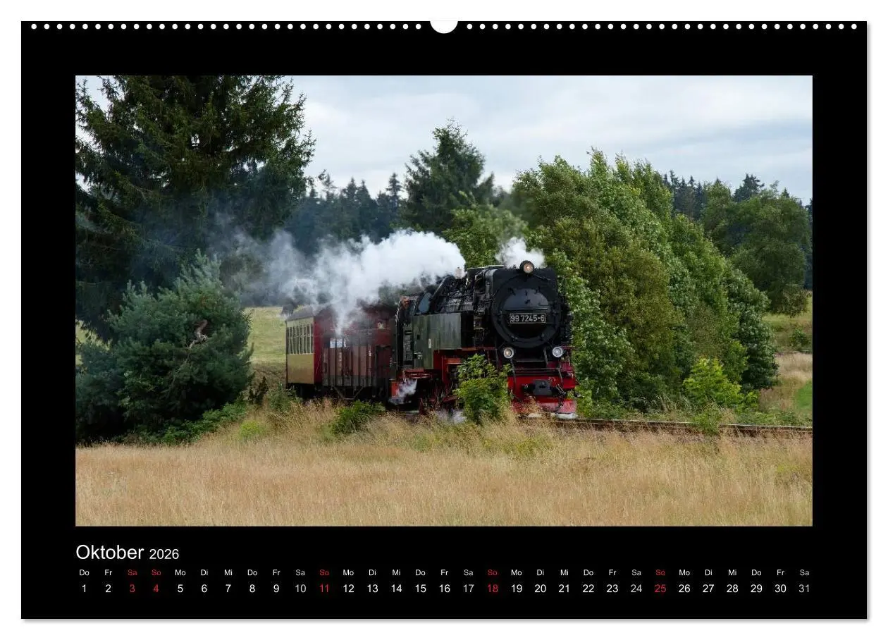 Bild: 9783516104981 | Dampferlebnis im Harz (Wandkalender 2026 DIN A2 quer), CALVENDO...