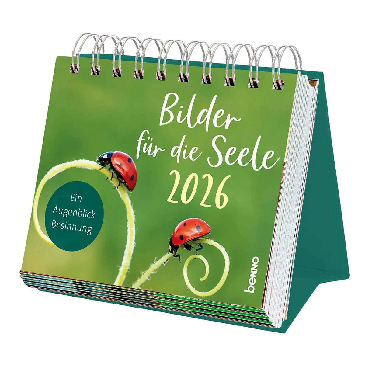 Cover: 9783746264981 | Bilder für die Seele 2026 | Ein Augenblick Besinnung | Kalender | 2026