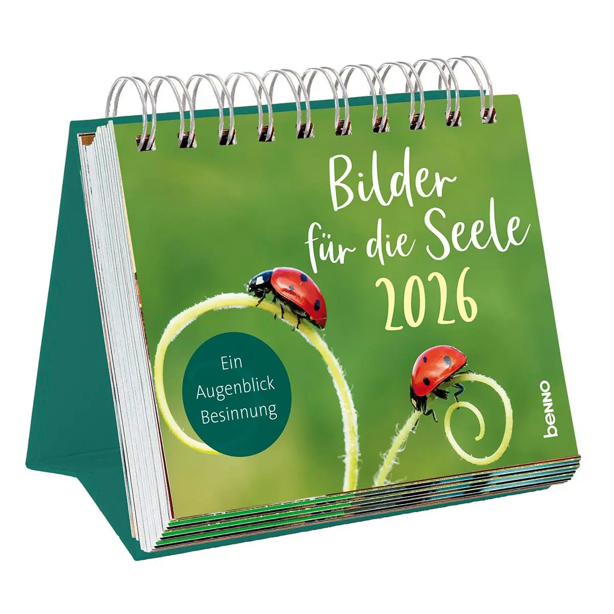 Bild: 9783746264981 | Bilder für die Seele 2026 | Ein Augenblick Besinnung | Kalender | 2026