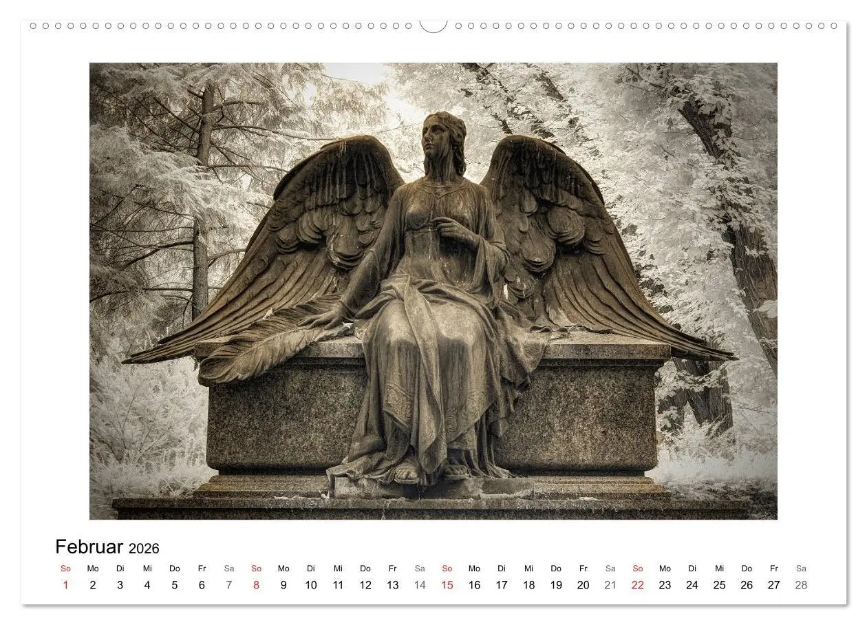 Bild: 9783457905081 | your guardian angel - Dein Schutzengel für jeden Tag (Wandkalender...