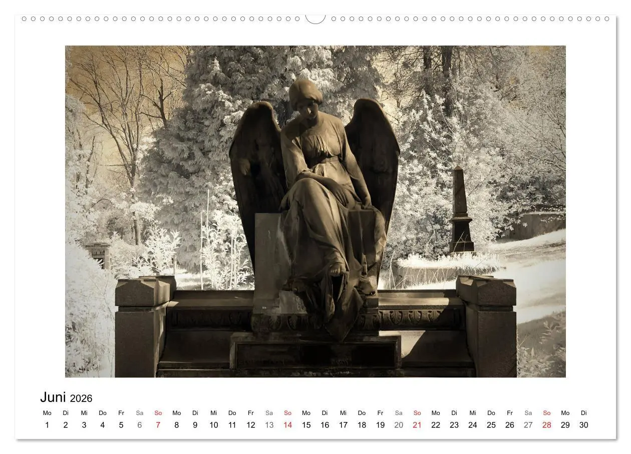 Bild: 9783457905081 | your guardian angel - Dein Schutzengel für jeden Tag (Wandkalender...