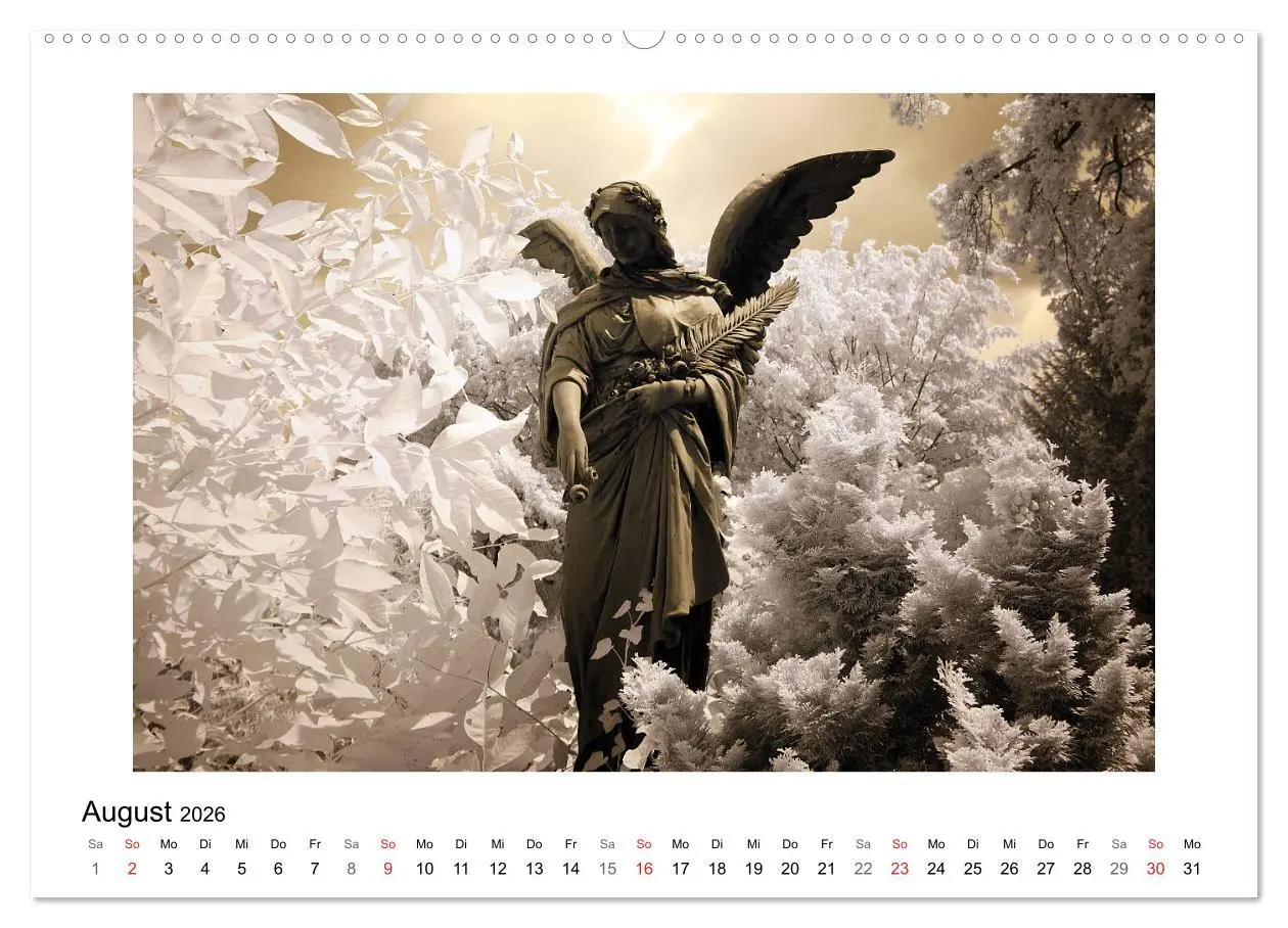 Bild: 9783457905081 | your guardian angel - Dein Schutzengel für jeden Tag (Wandkalender...