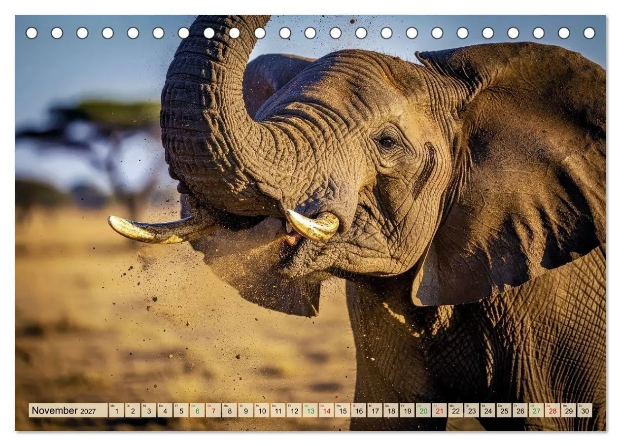 Bild: 9783516785081 | Große und kleine Elefanten (Tischkalender 2027 DIN A5 quer),...