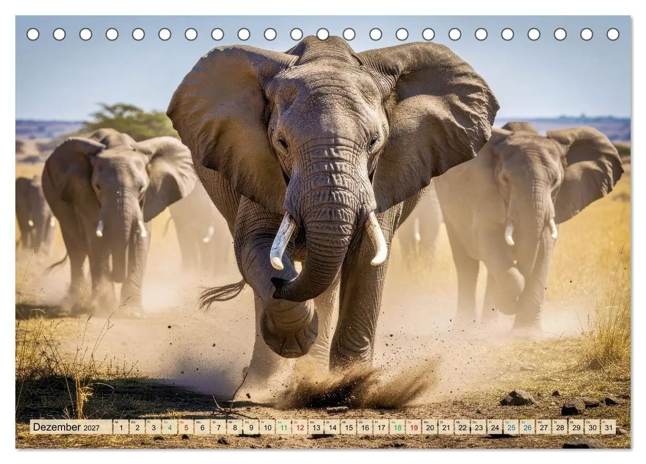 Bild: 9783516785081 | Große und kleine Elefanten (Tischkalender 2027 DIN A5 quer),...