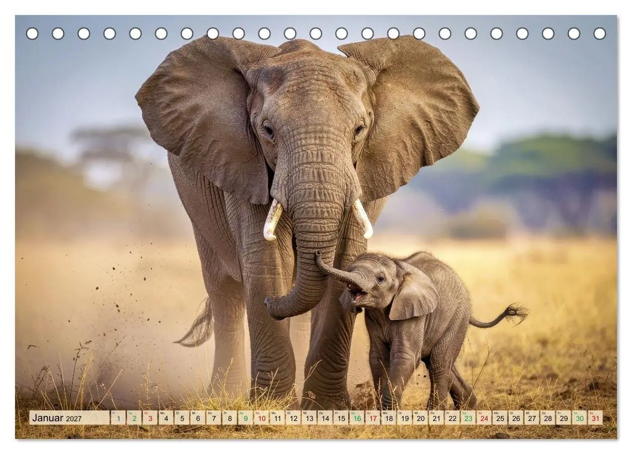 Bild: 9783516785081 | Große und kleine Elefanten (Tischkalender 2027 DIN A5 quer),...