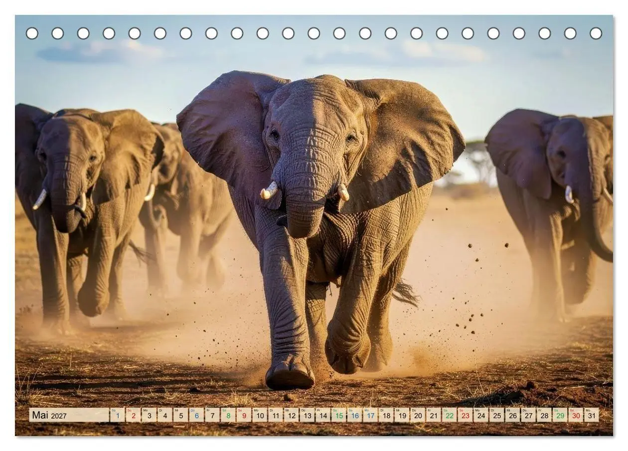 Bild: 9783516785081 | Große und kleine Elefanten (Tischkalender 2027 DIN A5 quer),...