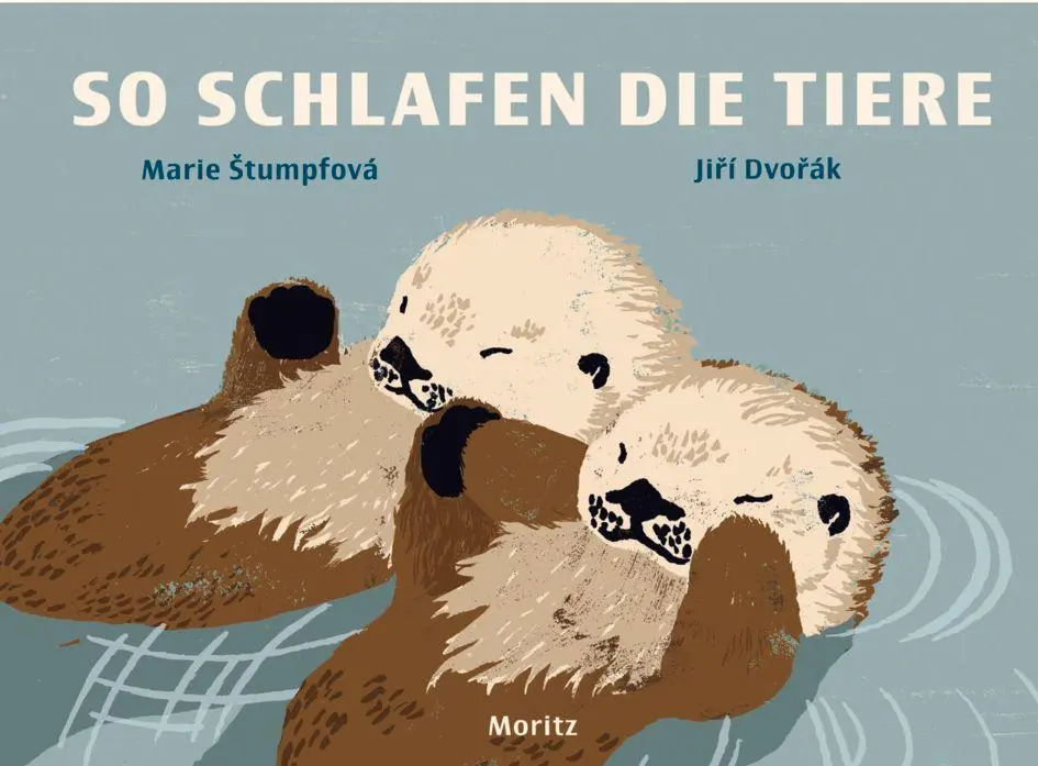 Cover: 9783895655081 | So schlafen die Tiere | Jirí Dvorák (u. a.) | Buch | 40 S. | Deutsch