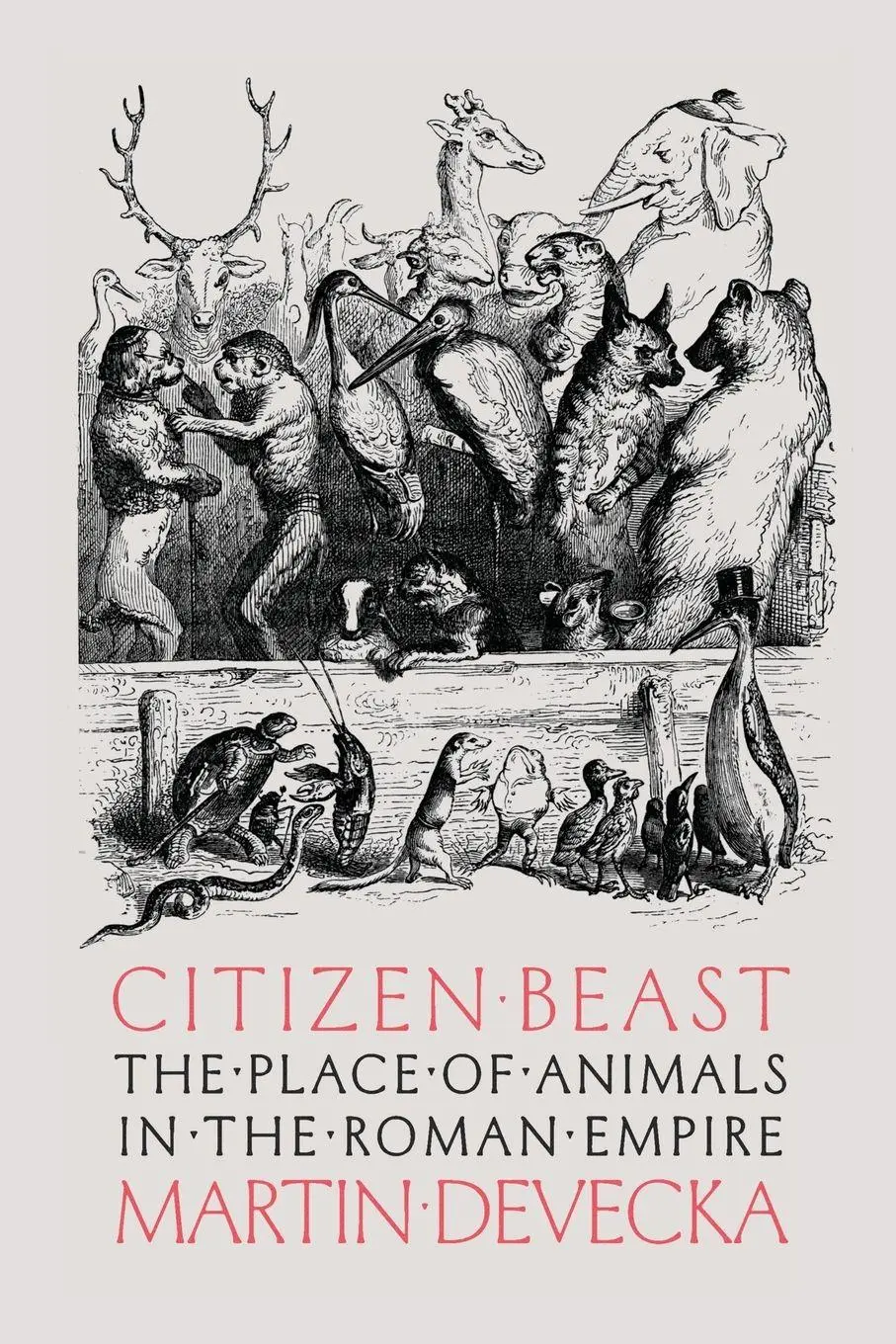 Cover: 9781421455181 | Citizen Beast | The Place of Animals in the Roman Empire | Devecka