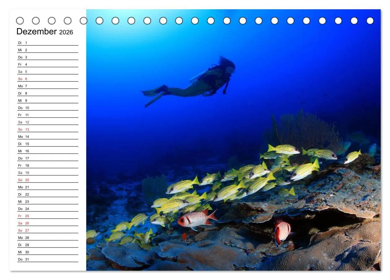 Bild: 9783457995181 | Faszination Tauchen. Neptuns Reich (Tischkalender 2026 DIN A5...