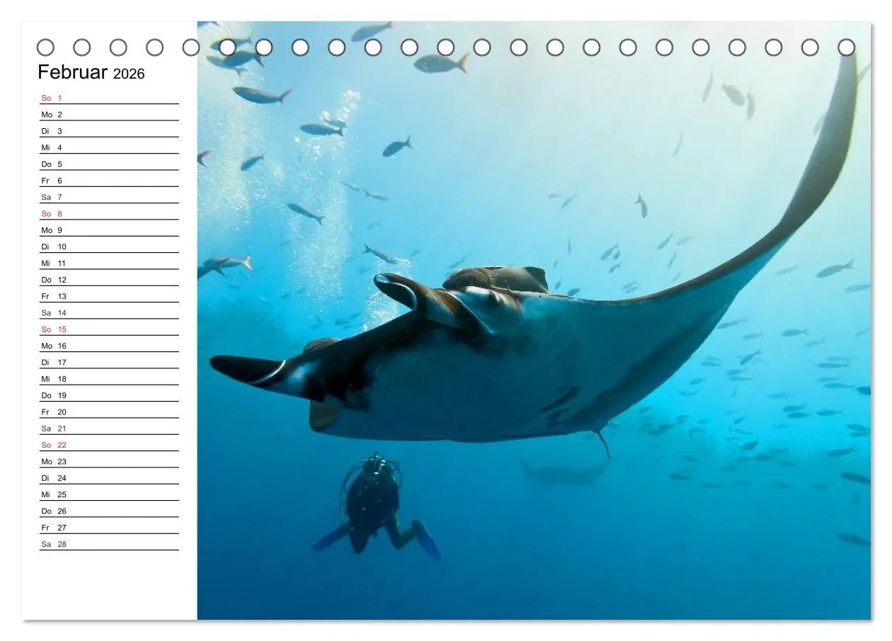 Bild: 9783457995181 | Faszination Tauchen. Neptuns Reich (Tischkalender 2026 DIN A5...