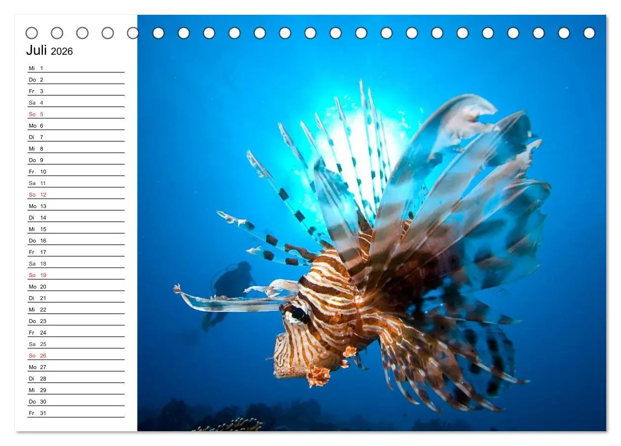 Bild: 9783457995181 | Faszination Tauchen. Neptuns Reich (Tischkalender 2026 DIN A5...