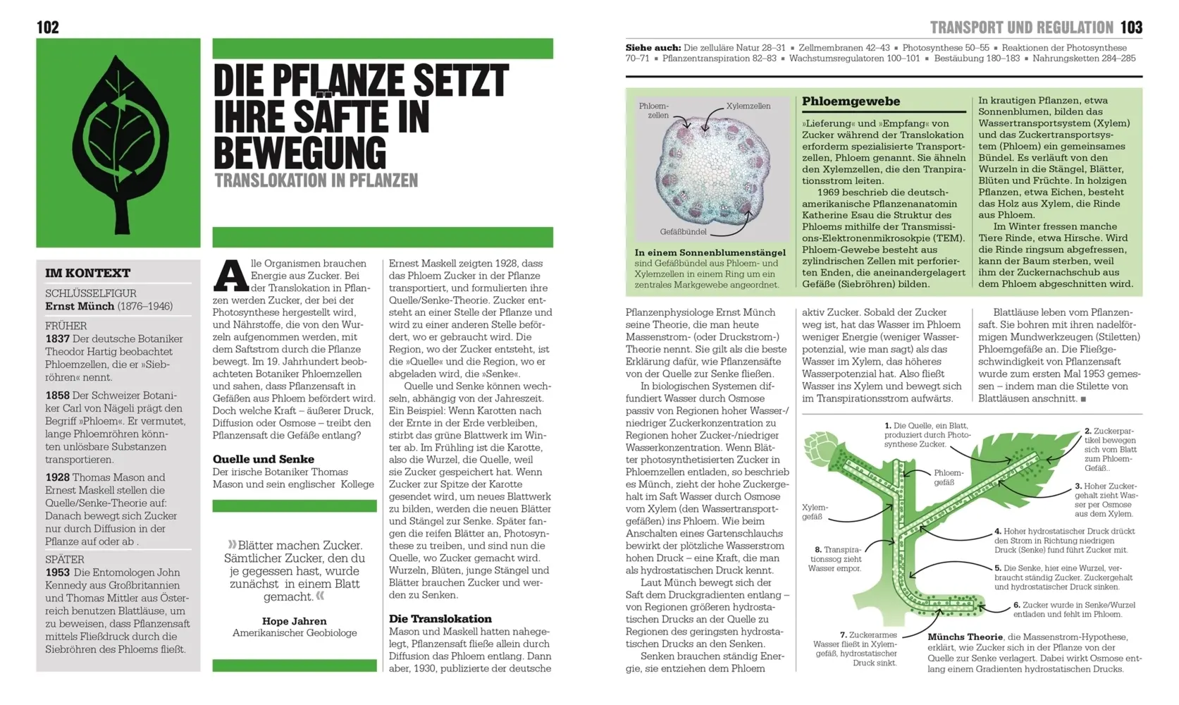 Bild: 9783831045181 | Big Ideas. Das Biologie-Buch | Big Ideas - einfach erklärt | Buch