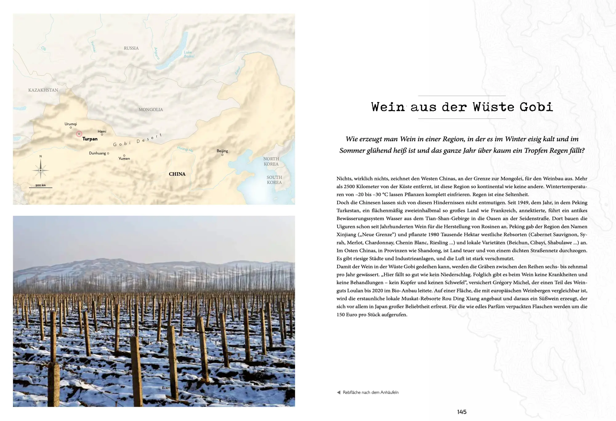 Bild: 9782361955281 | Atlas der außergewöhnlichen Weine | Pierrick Bourgault | Taschenbuch