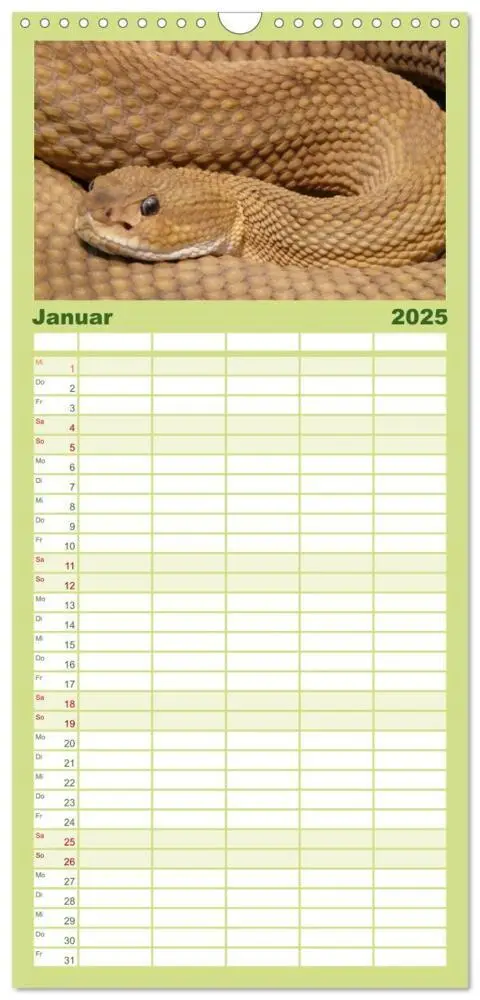 Bild: 9783457125281 | Familienplaner 2025 - Schlangen mit 5 Spalten (Wandkalender, 21 x...