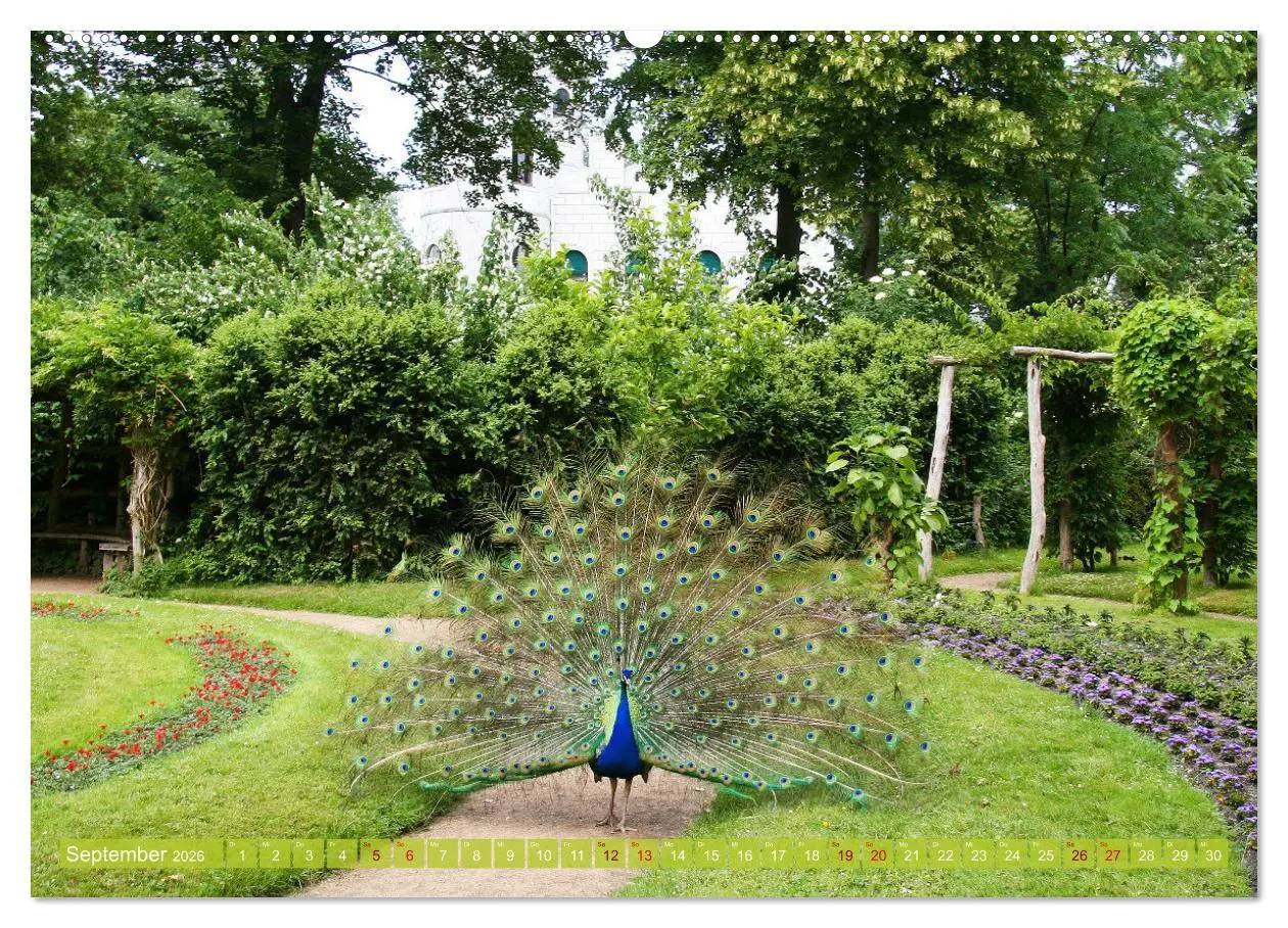Bild: 9783457435281 | Die Pfaueninsel in Berlin (hochwertiger Premium Wandkalender 2026...