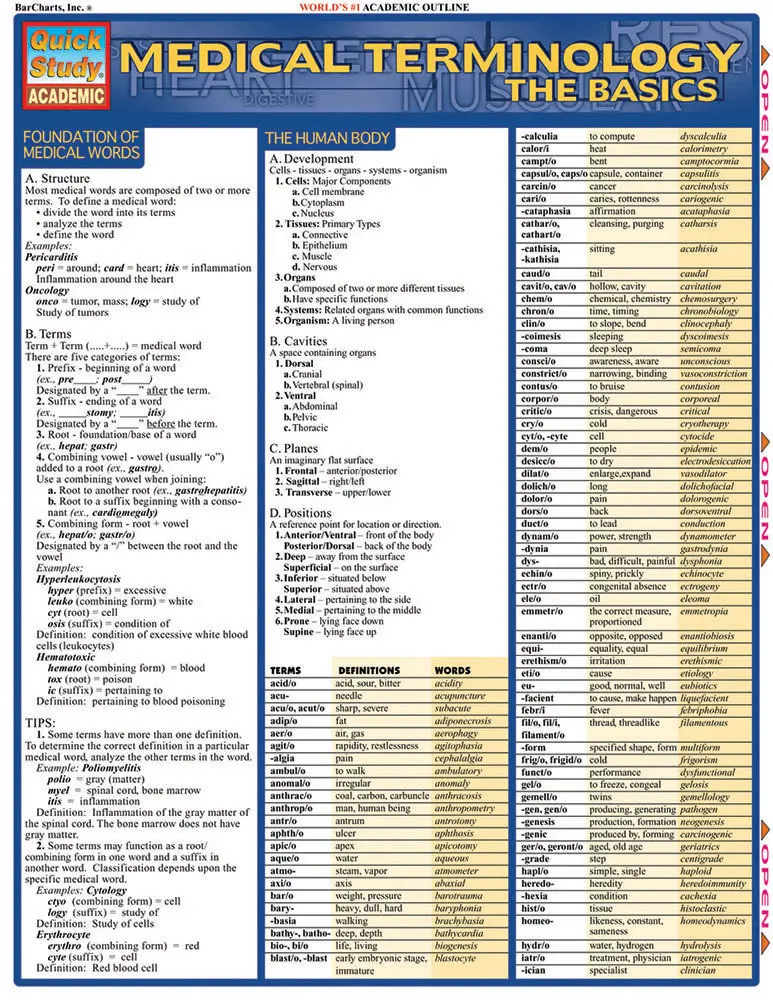 Cover: 9781572225381 | Medical Terminology: The Basics | Corinne Linton | Broschüre | 2024