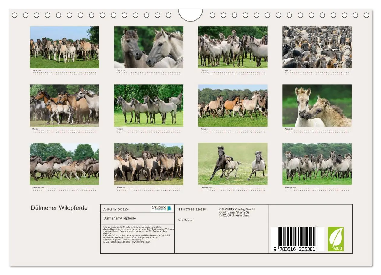 Bild: 9783516205381 | Dülmener Wildpferde (Wandkalender 2026 DIN A4 quer), CALVENDO...