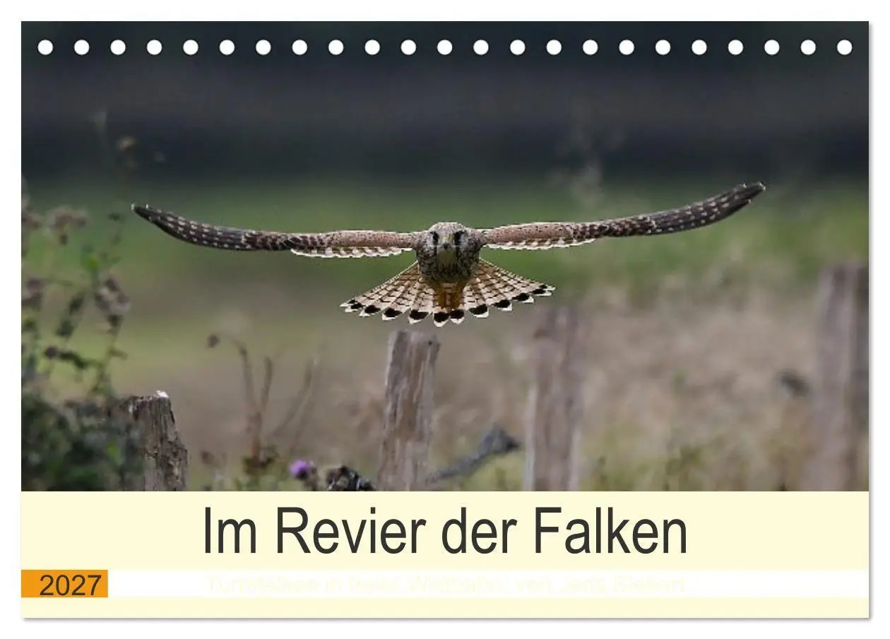 Im Revier der Falken (Tischkalender 2027 DIN A5 quer), CALVENDO Monatskalender