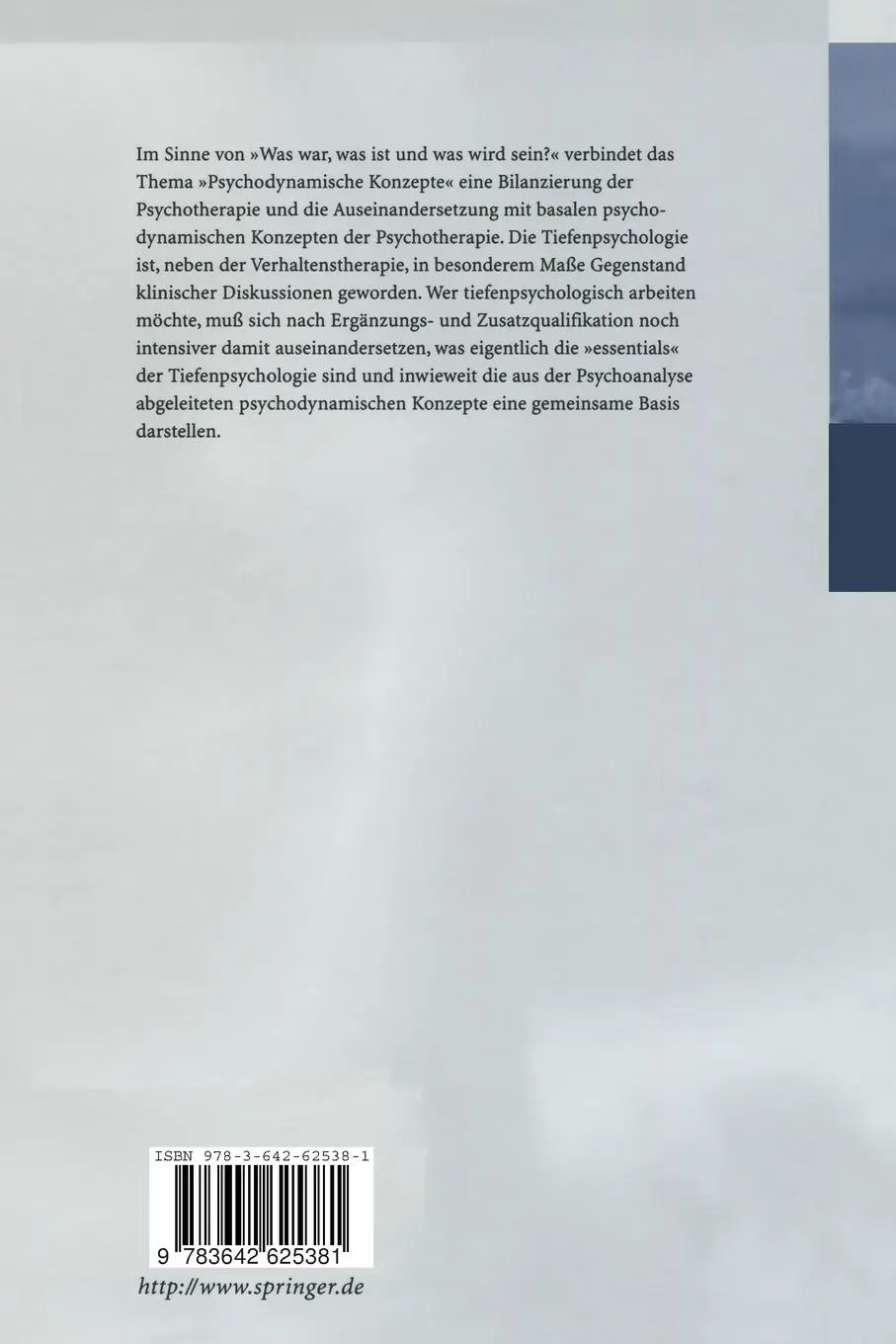 Rückseite: 9783642625381 | Psychodynamische Konzepte | P. Buchheim (u. a.) | Taschenbuch | xiv