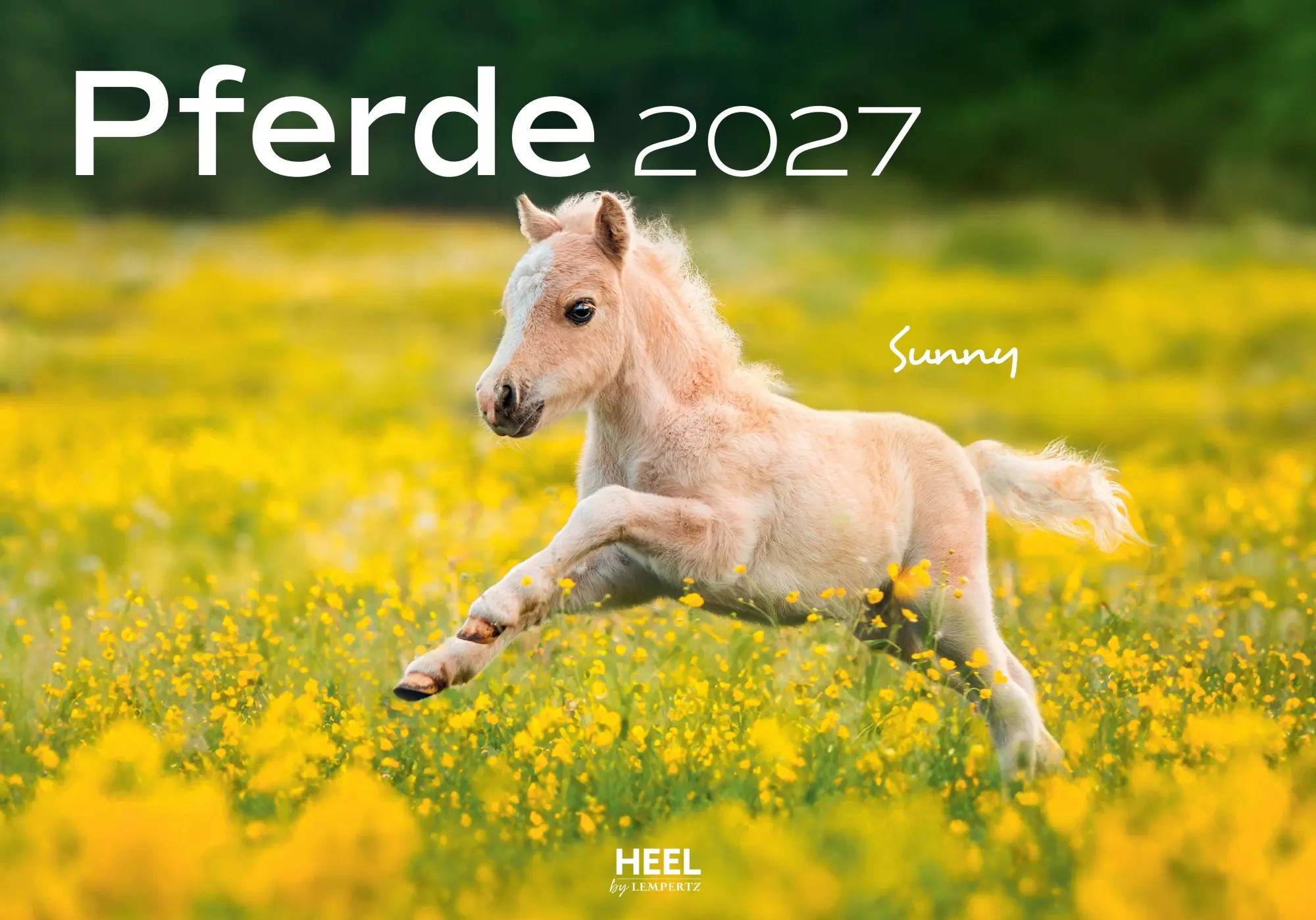 Cover: 9783960585381 | Pferde Kalender 2027 Wandkalender | Edyta Trojaska-Koch | Kalender