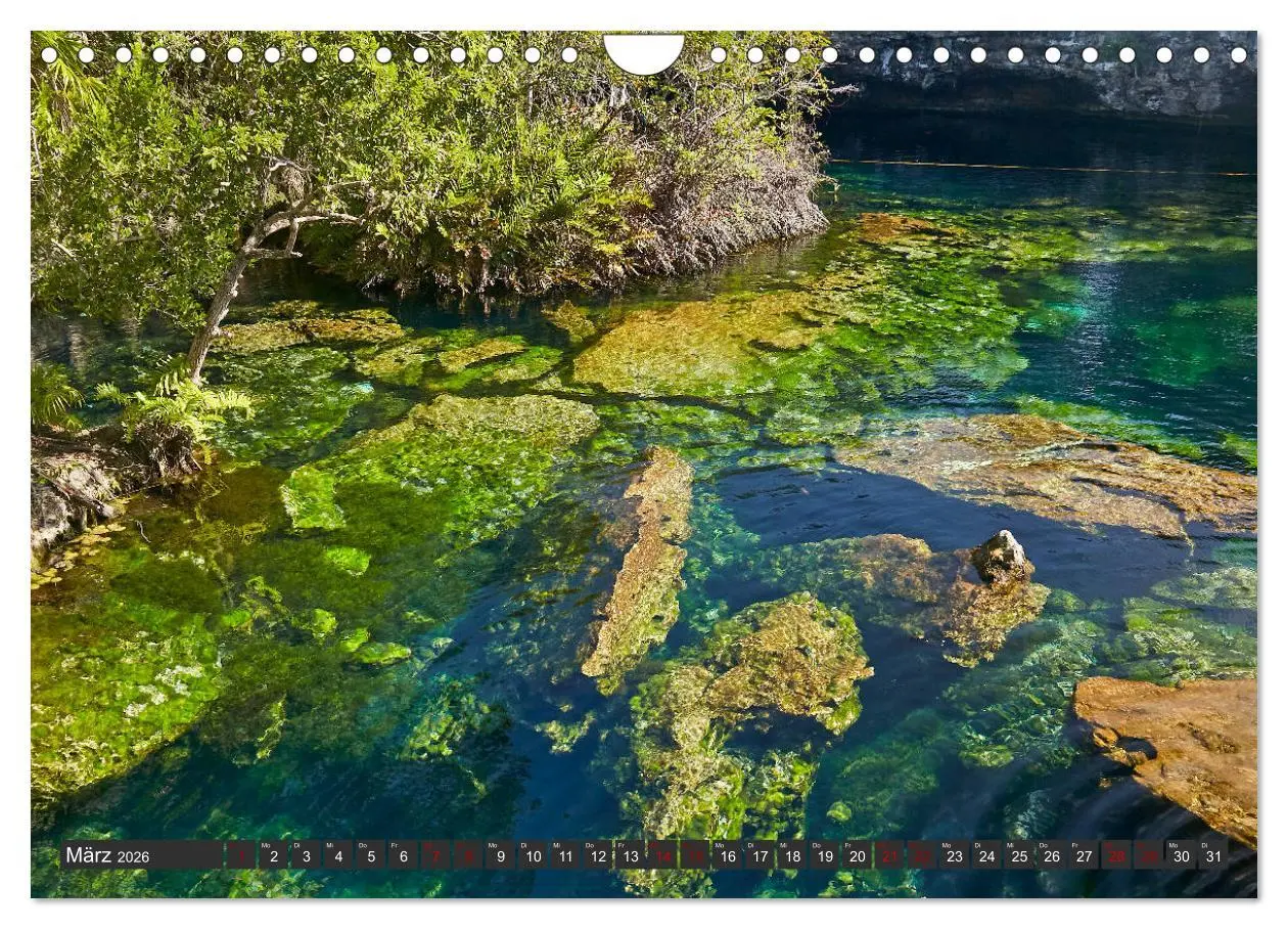 Bild: 9783457725481 | VIVA MEXIKO (Wandkalender 2026 DIN A4 quer), CALVENDO Monatskalender