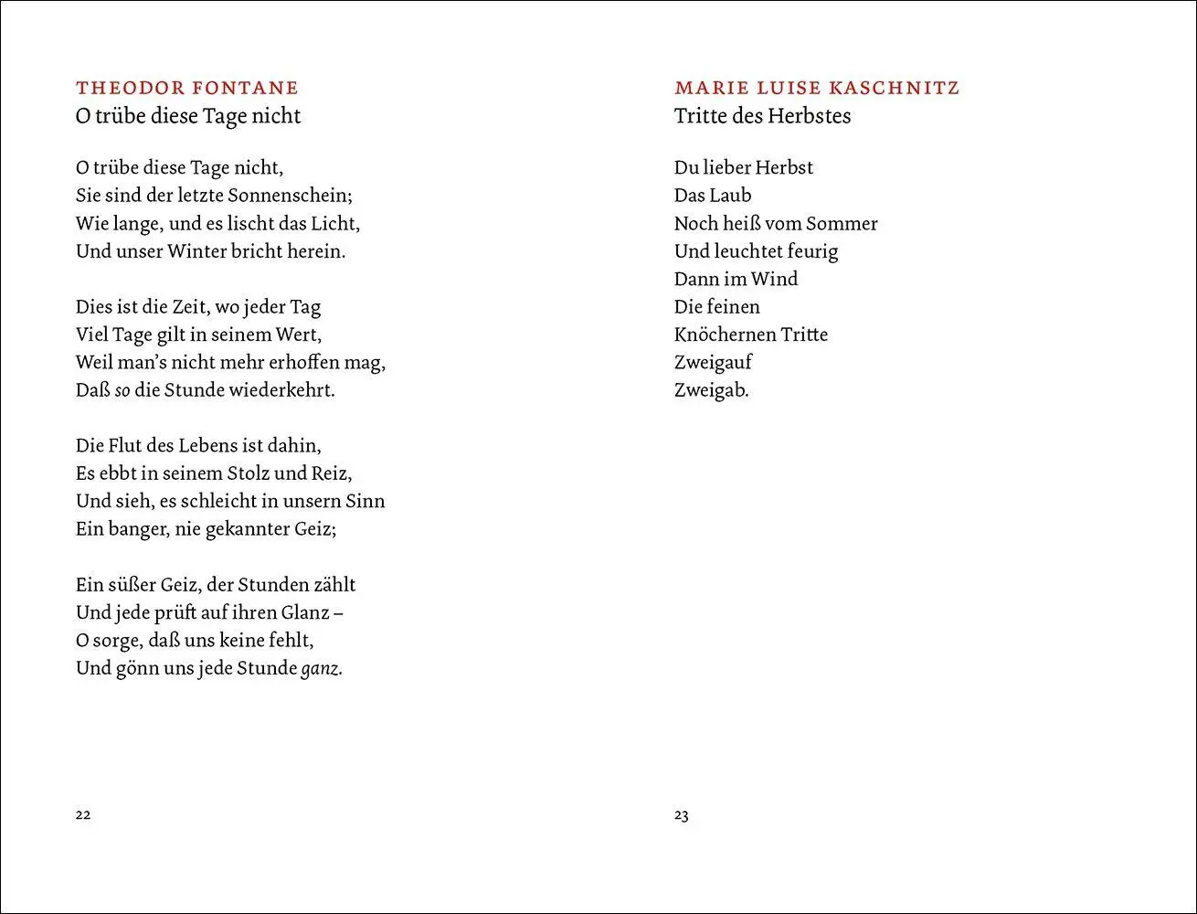 Bild: 9783458645481 | Die schönsten Herbstgedichte | Matthias Reiner | Buch | 100 S. | 2025