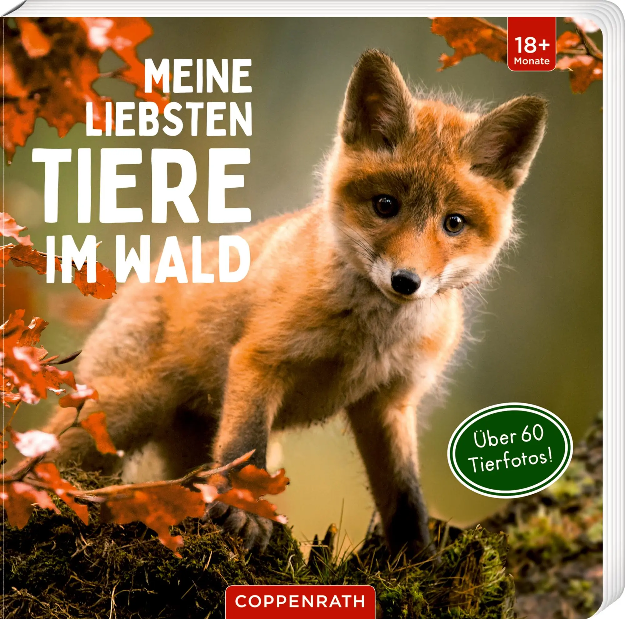 Cover: 9783649645481 | Meine liebsten Tiere im Wald | Buch | 28 S. | Deutsch | 2023
