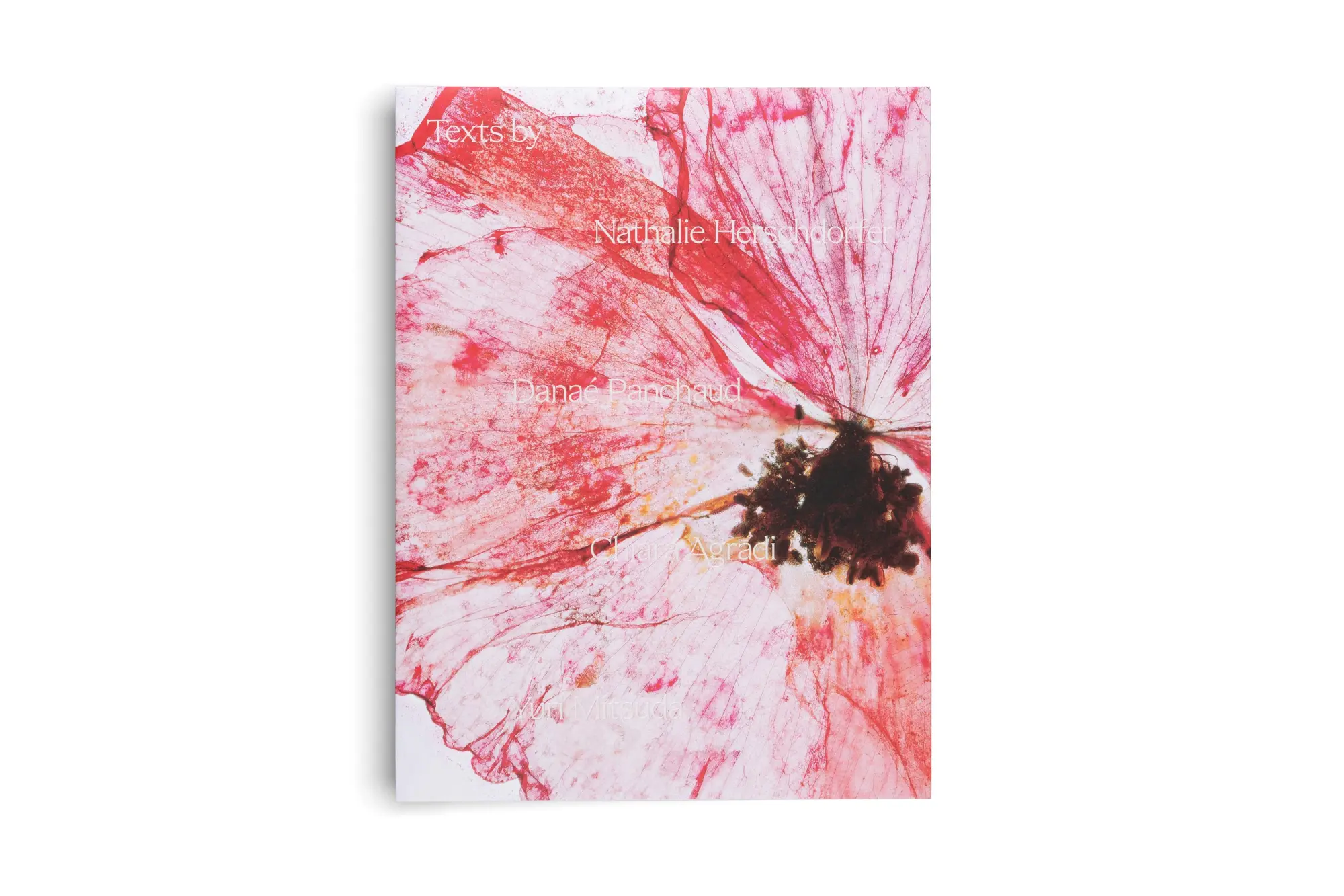 Bild: 9783775755481 | Brigitte Lustenberger | An Apparition of Memory | Nadine Barth (u. a.)