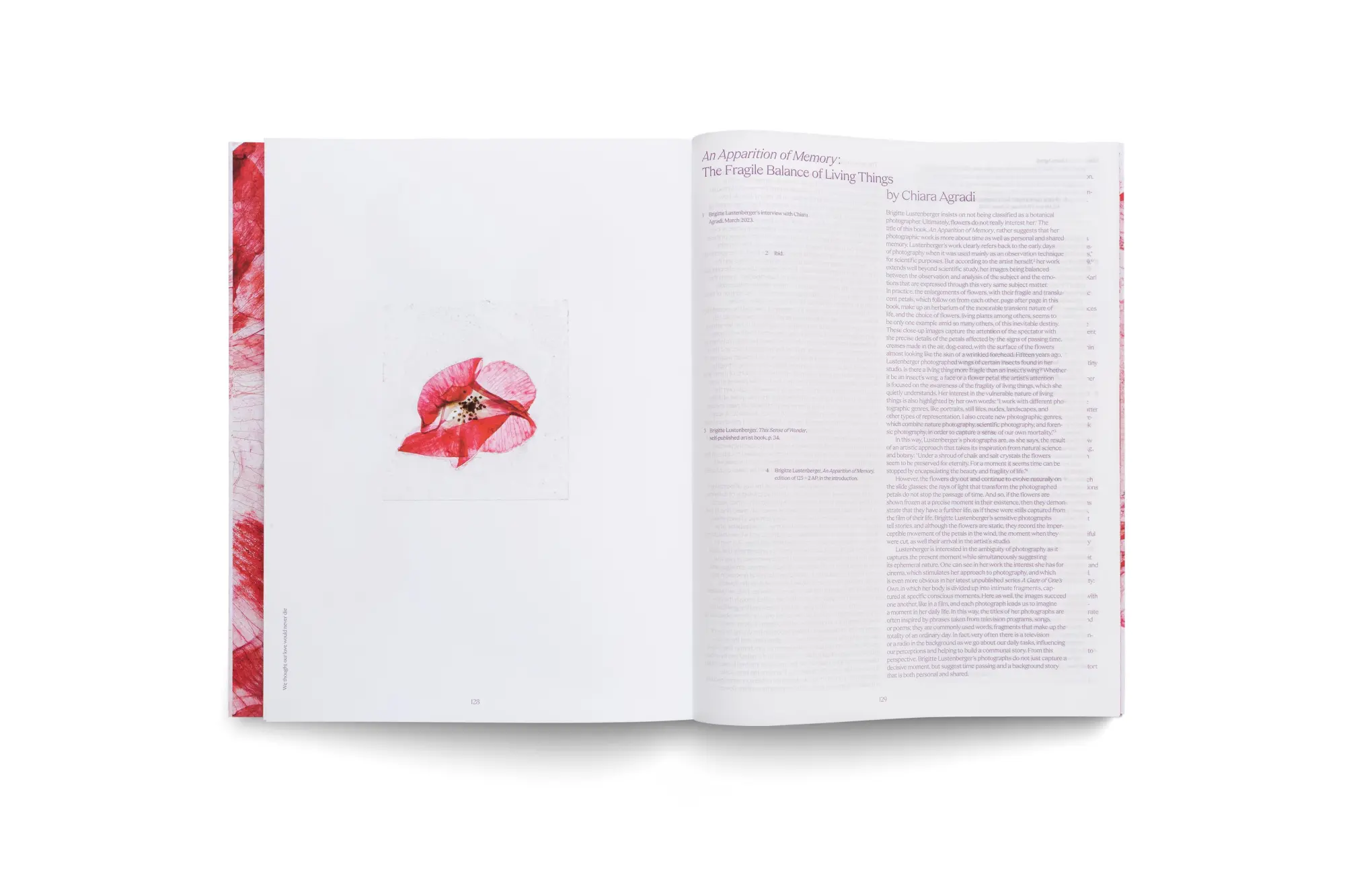 Bild: 9783775755481 | Brigitte Lustenberger | An Apparition of Memory | Nadine Barth (u. a.)