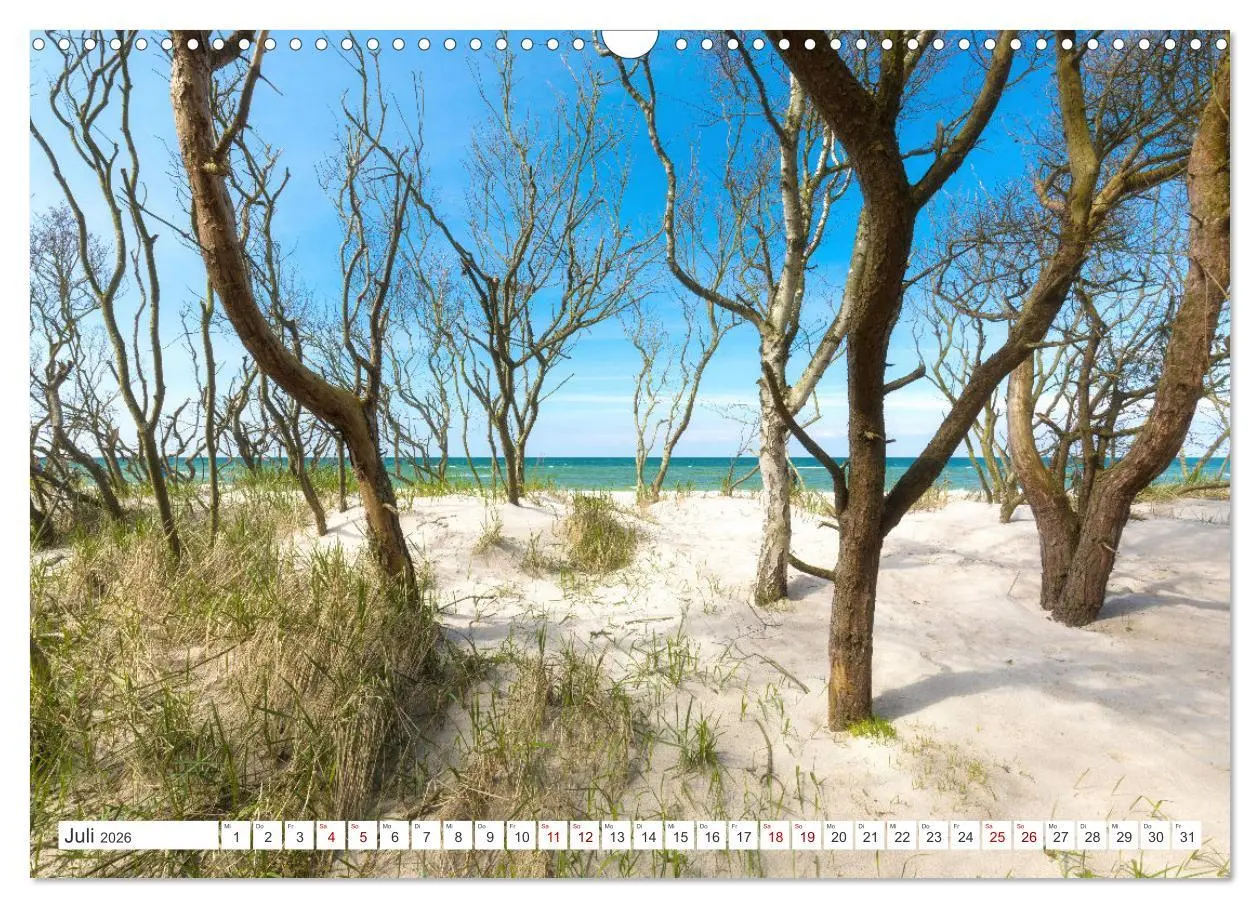 Bild: 9783457575581 | Fischland Darß, Land zwischen Ostsee und Bodden (Wandkalender 2026...