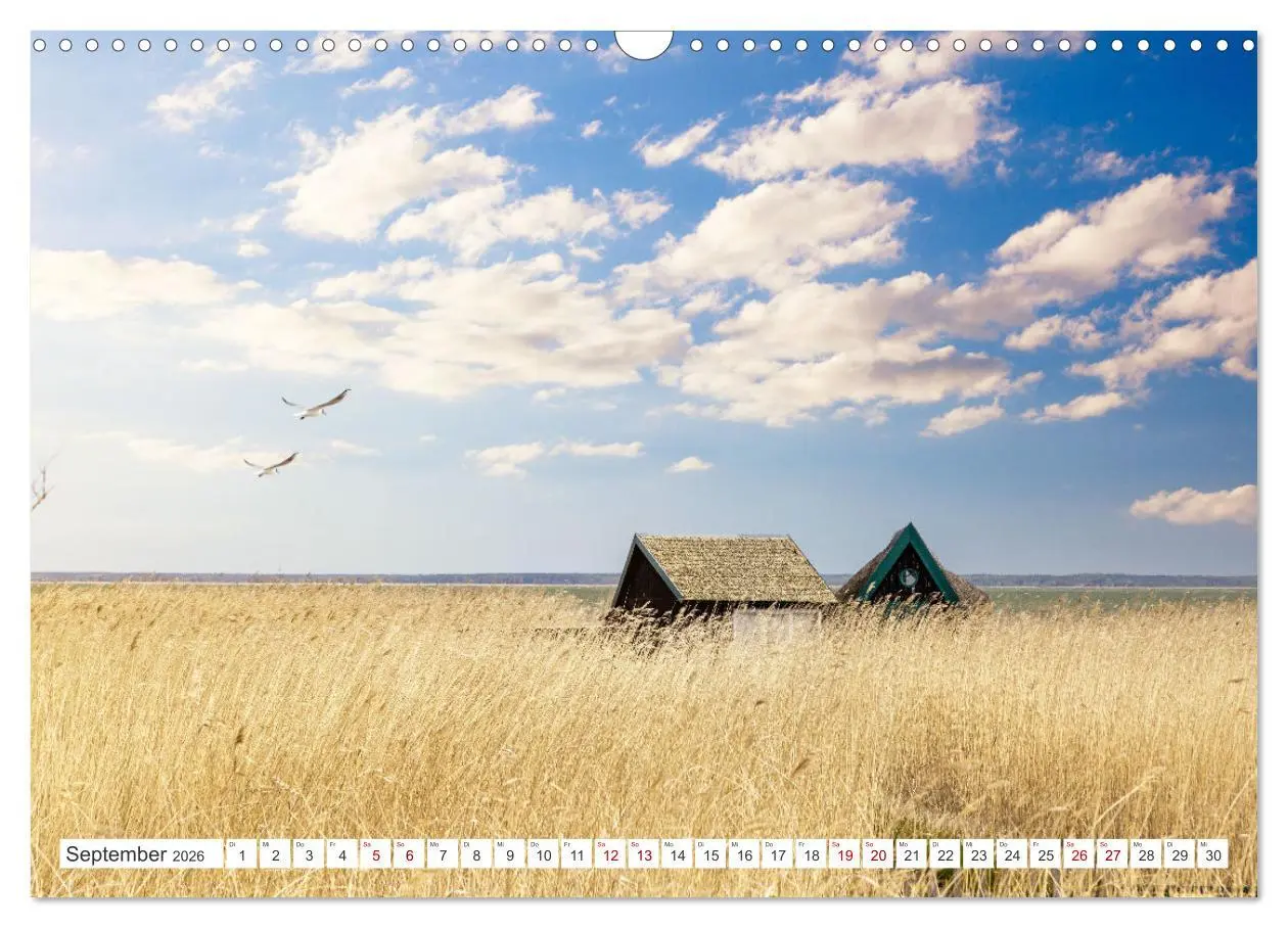 Bild: 9783457575581 | Fischland Darß, Land zwischen Ostsee und Bodden (Wandkalender 2026...