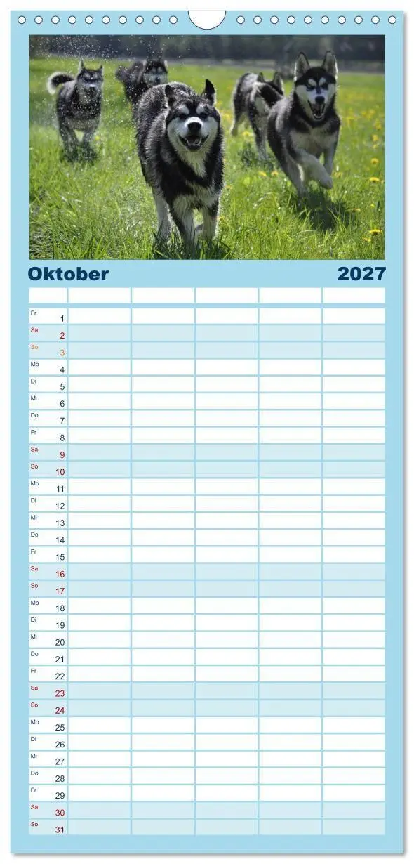 Bild: 9783594335581 | Familienplaner 2027 - Husky-Kalender mit 5 Spalten (Wandkalender,...