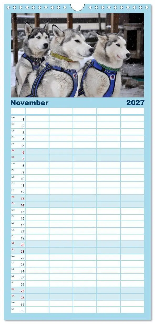 Bild: 9783594335581 | Familienplaner 2027 - Husky-Kalender mit 5 Spalten (Wandkalender,...
