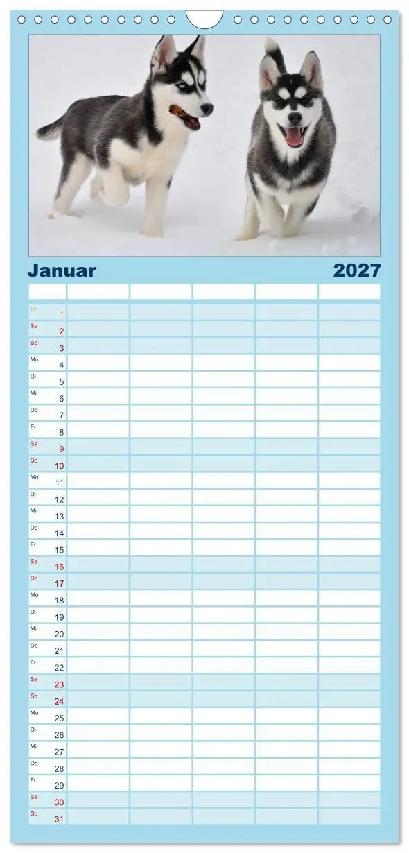 Bild: 9783594335581 | Familienplaner 2027 - Husky-Kalender mit 5 Spalten (Wandkalender,...