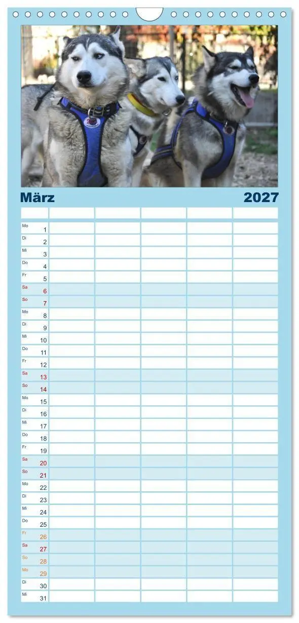 Bild: 9783594335581 | Familienplaner 2027 - Husky-Kalender mit 5 Spalten (Wandkalender,...