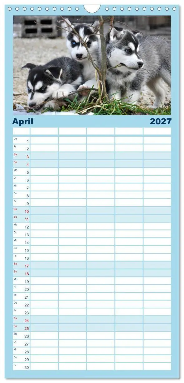 Bild: 9783594335581 | Familienplaner 2027 - Husky-Kalender mit 5 Spalten (Wandkalender,...