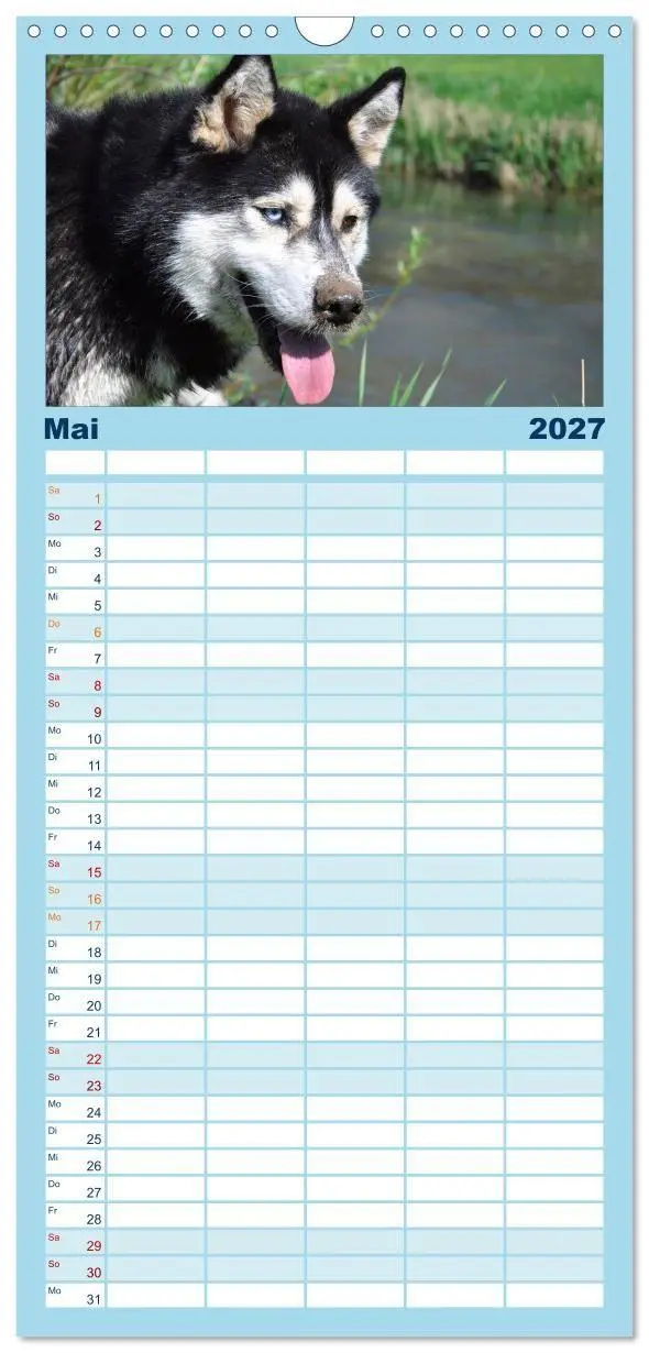 Bild: 9783594335581 | Familienplaner 2027 - Husky-Kalender mit 5 Spalten (Wandkalender,...