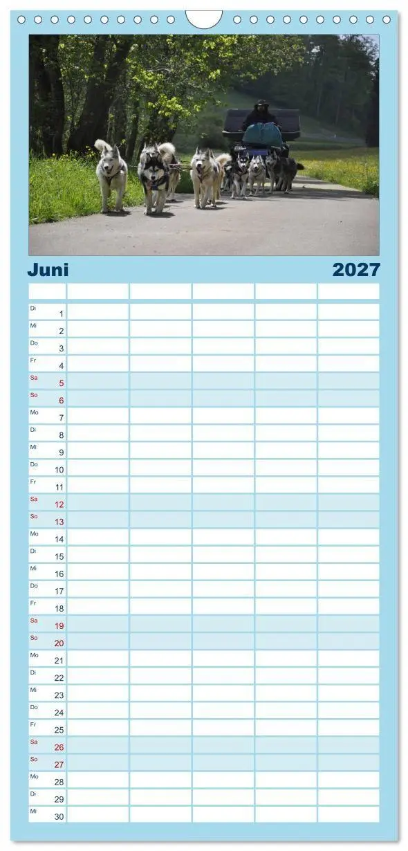 Bild: 9783594335581 | Familienplaner 2027 - Husky-Kalender mit 5 Spalten (Wandkalender,...
