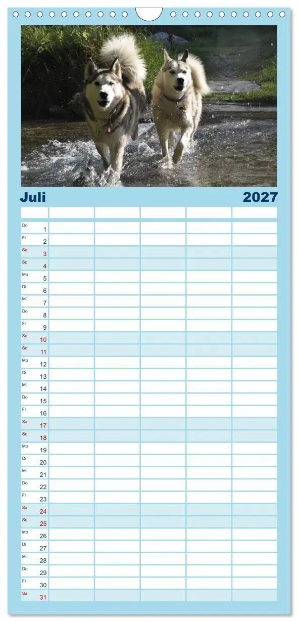 Bild: 9783594335581 | Familienplaner 2027 - Husky-Kalender mit 5 Spalten (Wandkalender,...