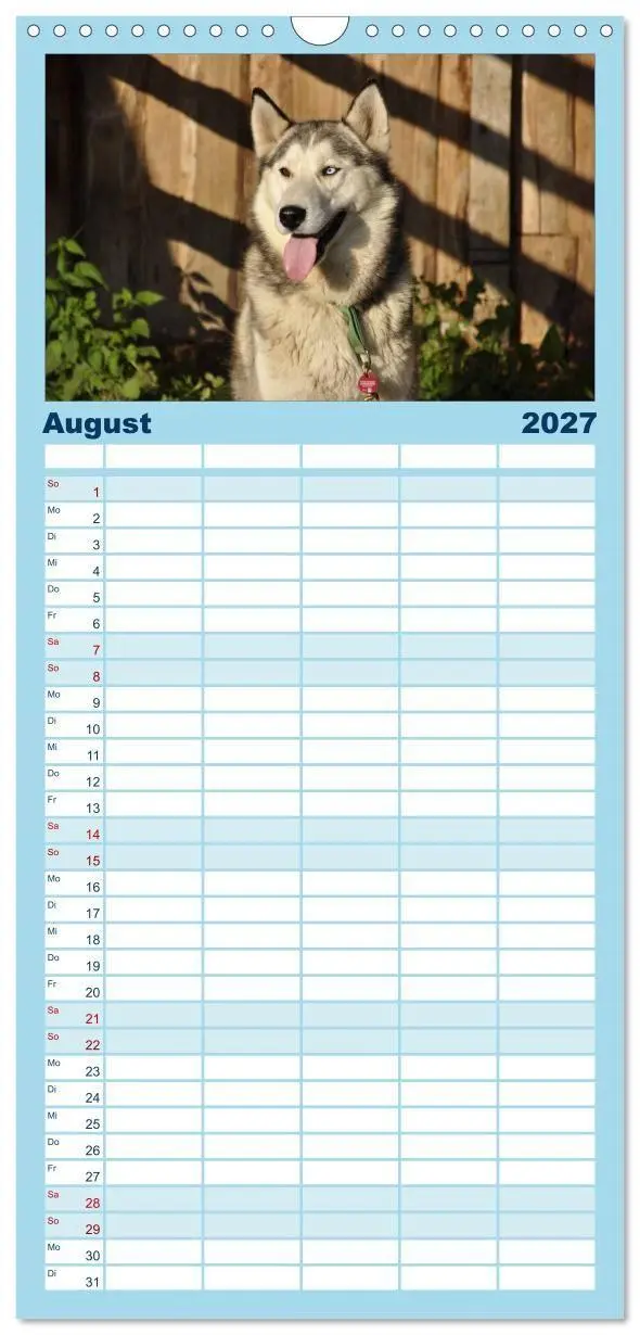 Bild: 9783594335581 | Familienplaner 2027 - Husky-Kalender mit 5 Spalten (Wandkalender,...