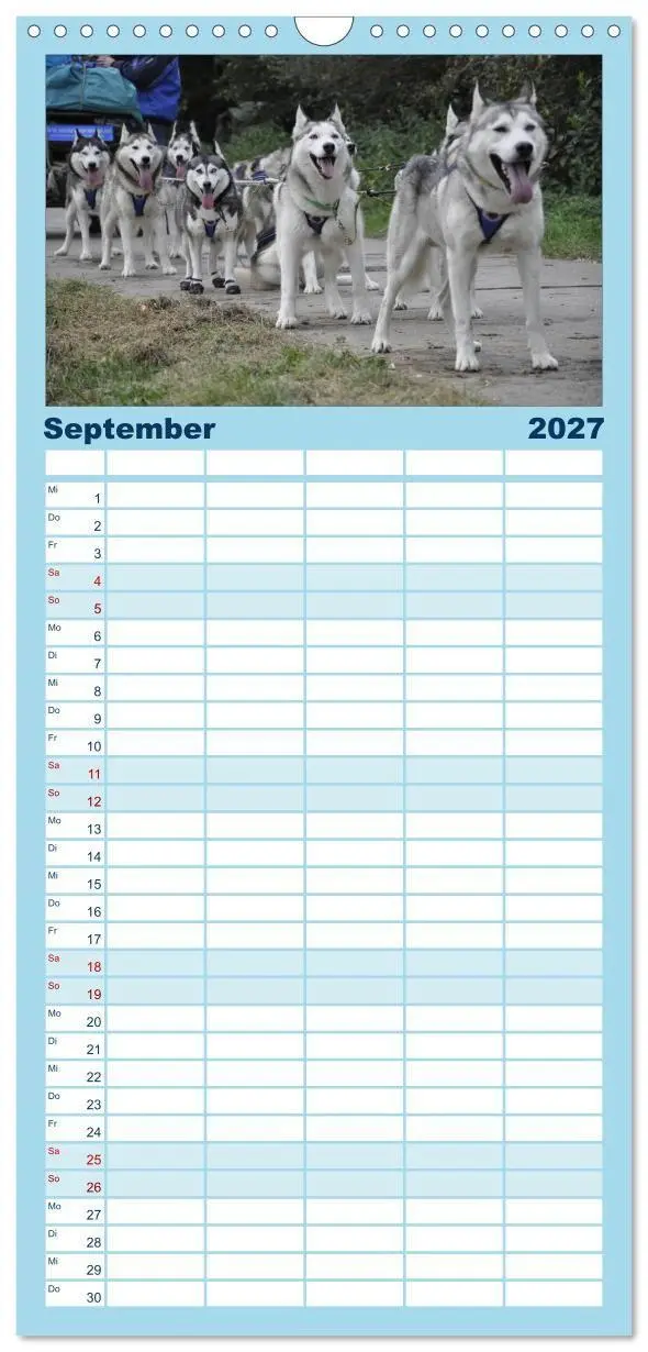 Bild: 9783594335581 | Familienplaner 2027 - Husky-Kalender mit 5 Spalten (Wandkalender,...