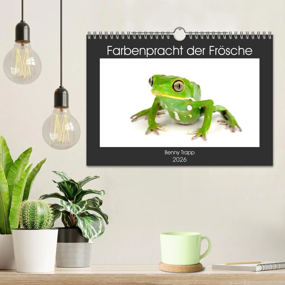 Bild: 9783457875681 | Farbenpracht der Frösche (Wandkalender 2026 DIN A4 quer), CALVENDO...