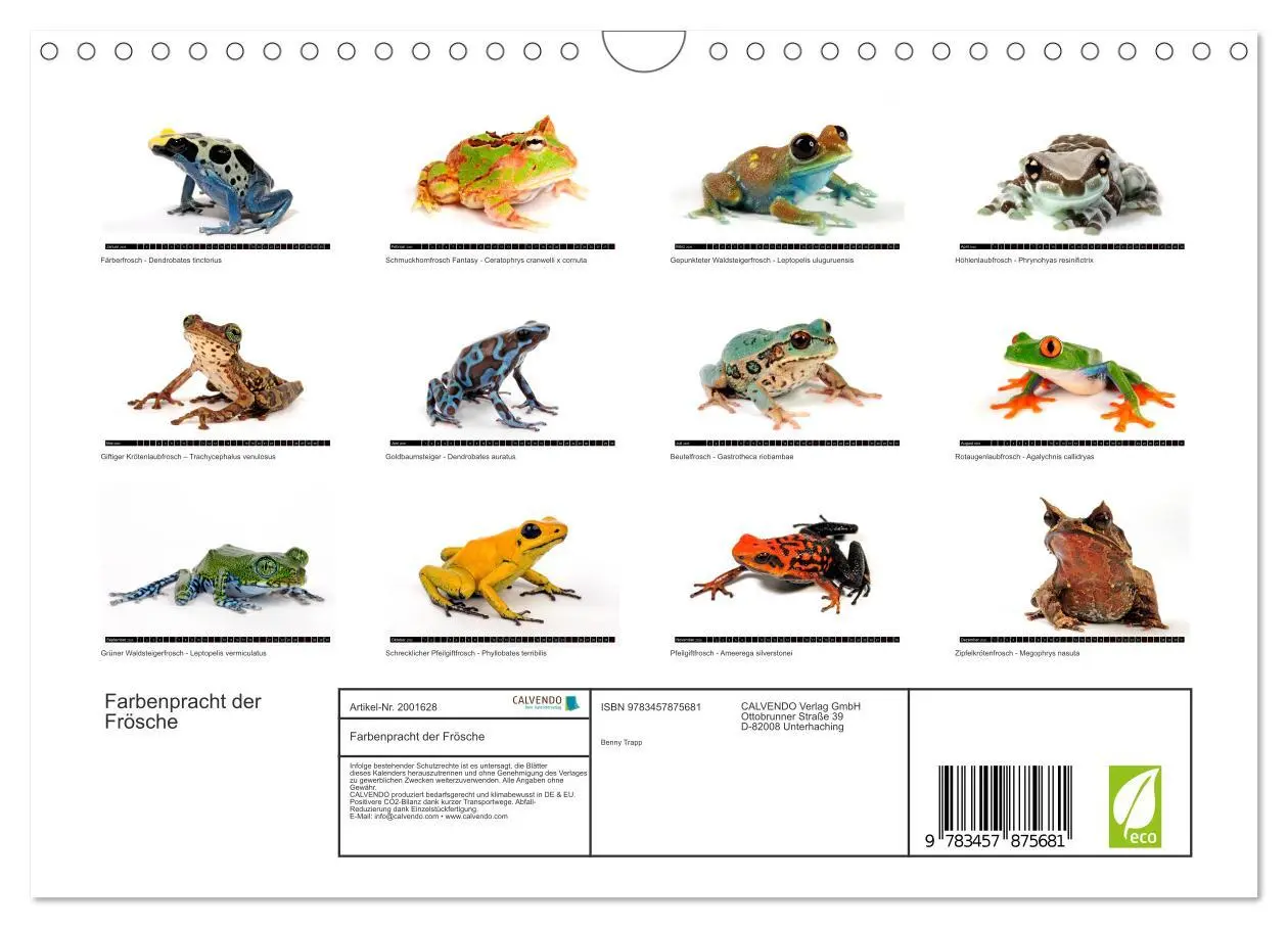 Bild: 9783457875681 | Farbenpracht der Frösche (Wandkalender 2026 DIN A4 quer), CALVENDO...