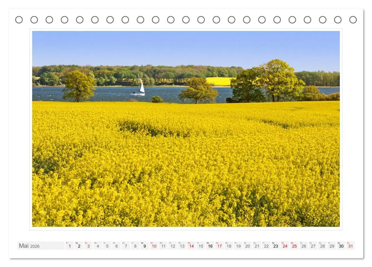Bild: 9783457315781 | Rund um die Schlei (Tischkalender 2026 DIN A5 quer), CALVENDO...