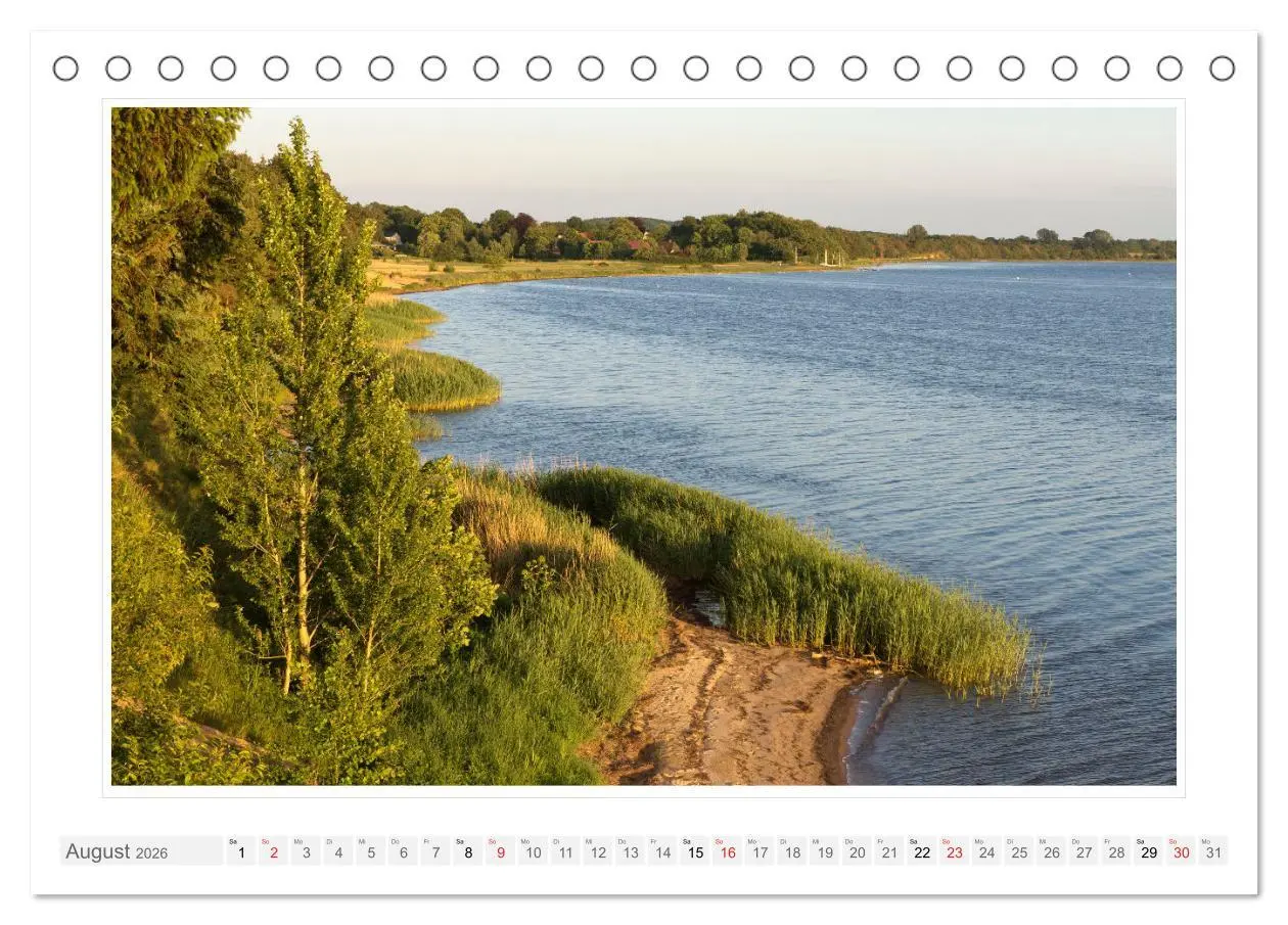 Bild: 9783457315781 | Rund um die Schlei (Tischkalender 2026 DIN A5 quer), CALVENDO...