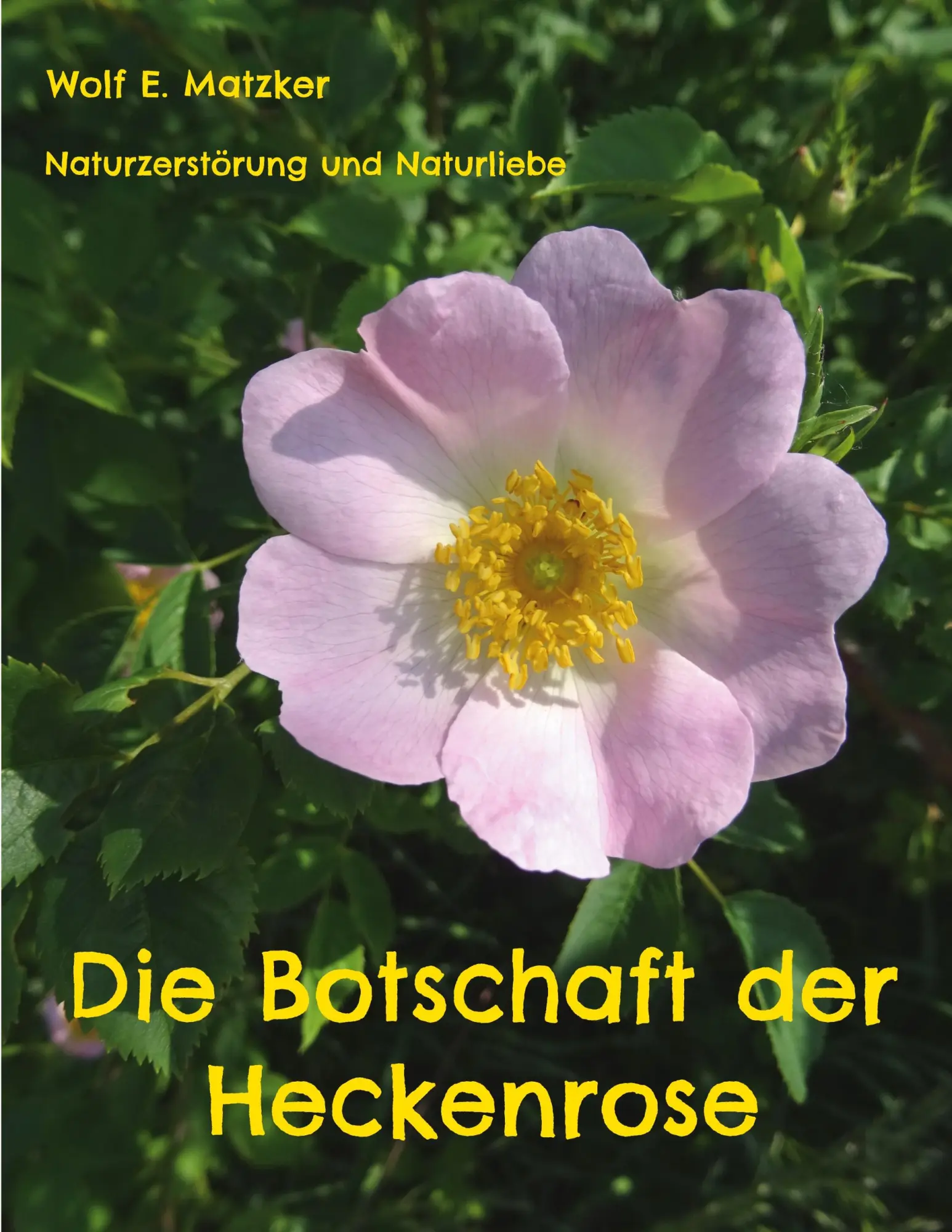 Cover: 9783756225781 | Die Botschaft der Heckenrose | Naturzerstörung und Naturliebe | Buch