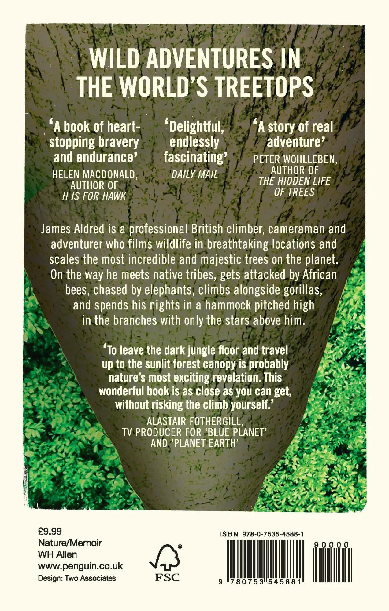 Rückseite: 9780753545881 | The Man Who Climbs Trees | James Aldred | Taschenbuch | Englisch