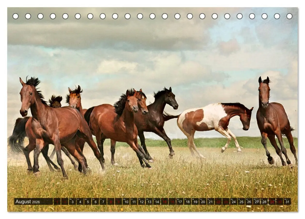 Bild: 9783457545881 | Pferde - wild und ungezähmt (Tischkalender 2026 DIN A5 quer),...
